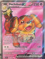 Pokémon – Dachsbun ex 🇺🇸 - SCR-160 - Stellar Crown