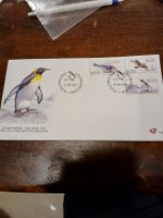 Antarctique pingouins, Afrique du Sud - Enveloppe 1997!