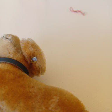 Steiff Giocattoli: Steiff kleiner Hund 10 cm gross – Usato da Abtwil SG venduto da luupsy 5