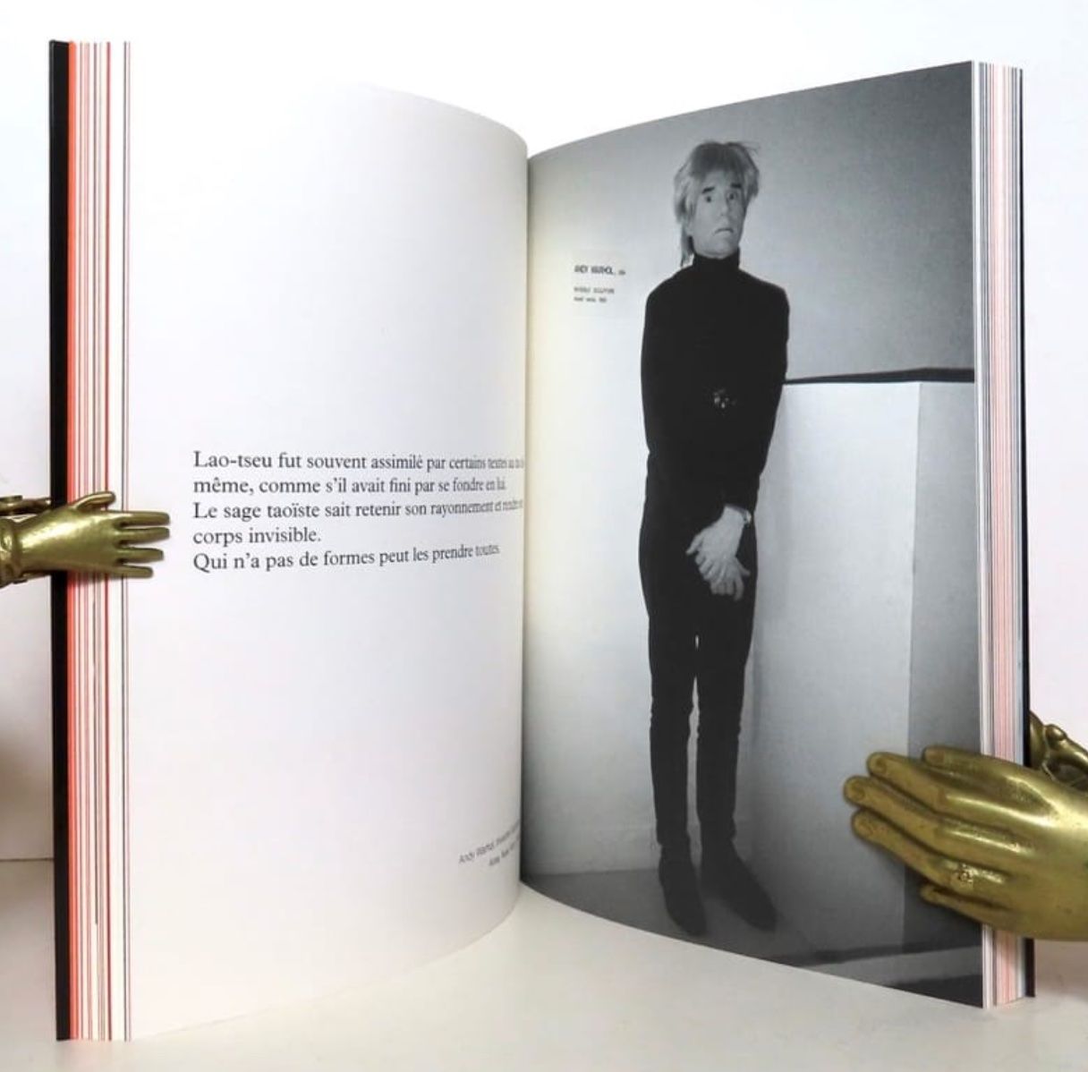 Livres: Warhol Spirit – D'occasion à Le Locle par LibrairieLaBergerie 1