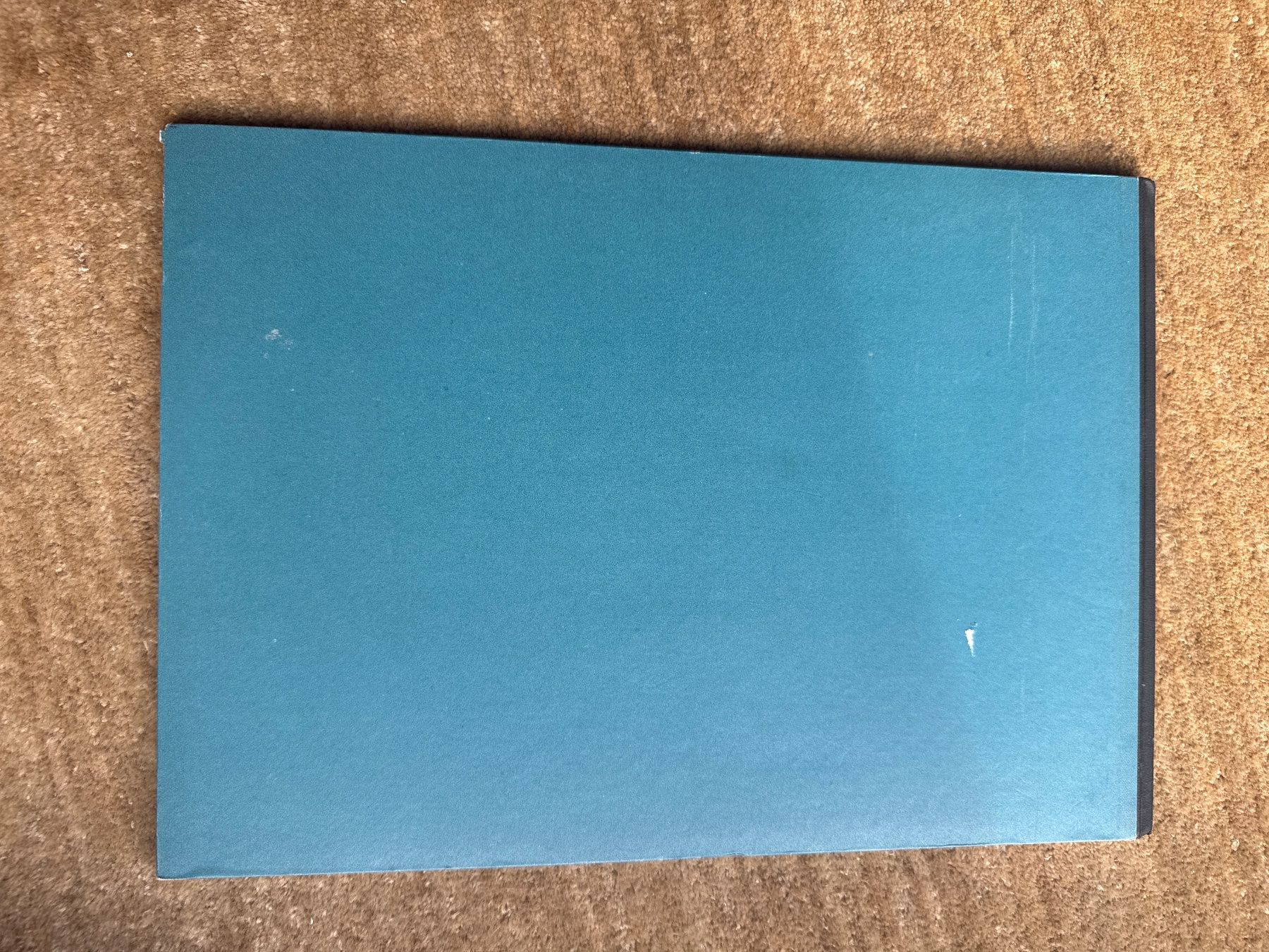 Bücher: Pitschi – Gebraucht aus Aarau von Kilauea 2