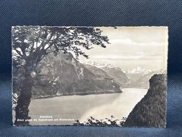 Seelisberg. Blick gegen die Axenstrasse und Bristenstock