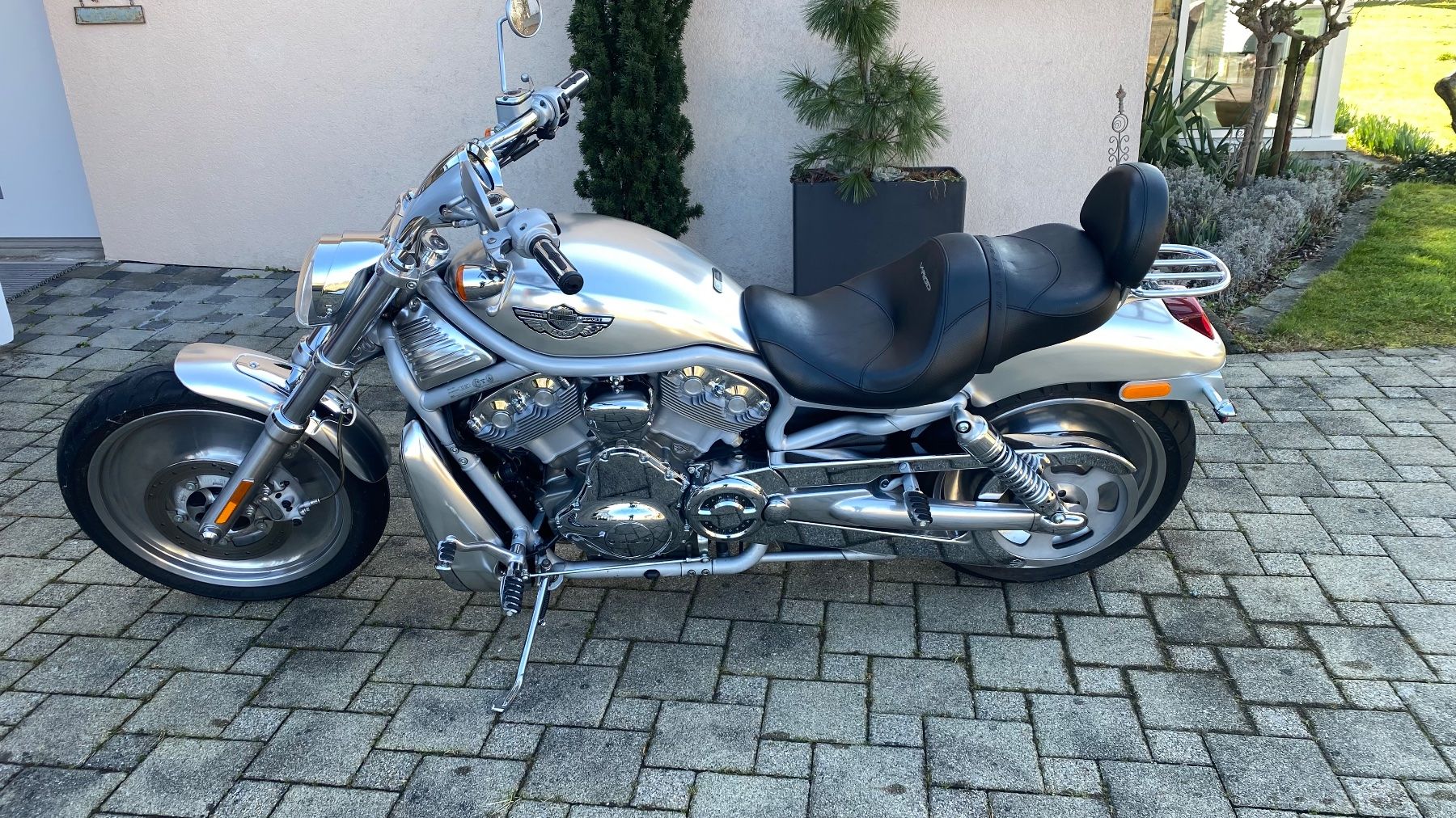 Harley-Davidson Chopper: Harley Davidson V-Rod VRSCA, 2003 100 Jahre Harley – Gebraucht aus Egnach von Spezi4 1
