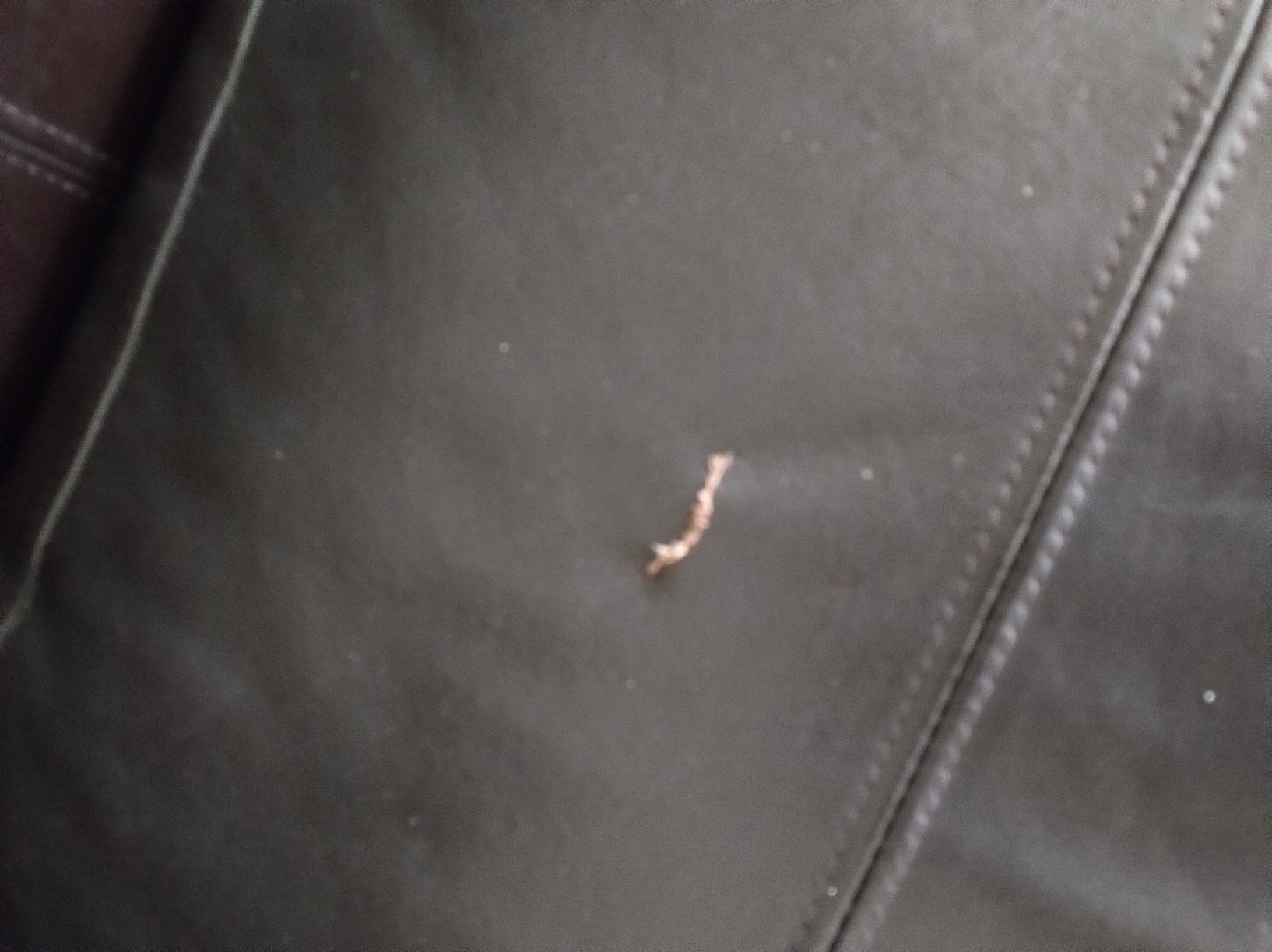 Sofas: Braunes Ledersofa – Gebraucht aus Oberbipp von Aerdna1979 5