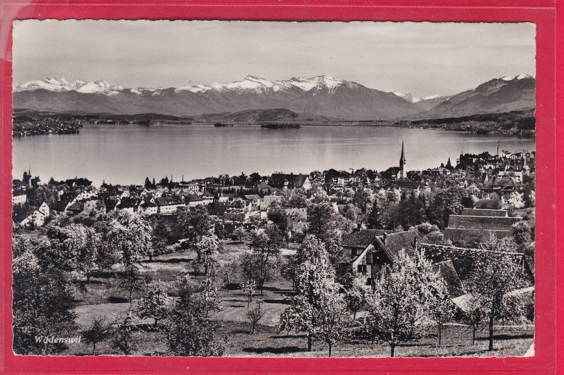 Cartoline postali: WÄDENSWIL – Usato da Oberrieden venduto da Gebirgsstelze