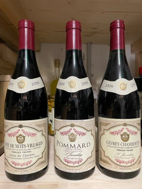 Wein: Bourgogne, Gevrey, Pommard, Cotes de nuits – Neu (gemäss Beschreibung) aus Euthal von FredSZ