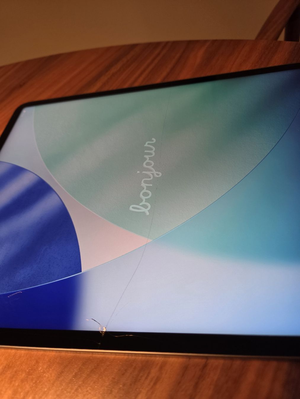 Apple Tablettes PC: iPad pro 12.9 5th generation mit M1 Glas defekt – Défectueux à Zürich par report73 2
