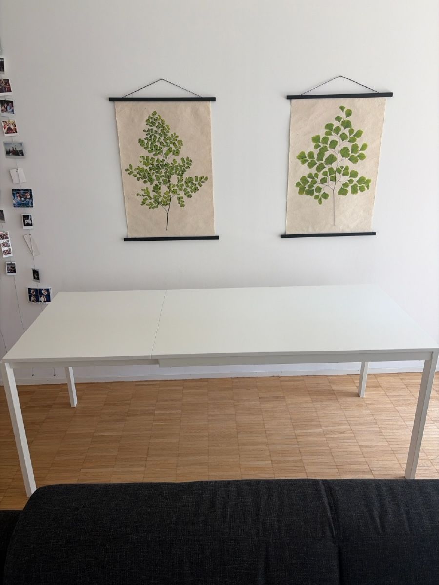Ikea Tables: IKEA vihals extendable Table – D'occasion à Zürich par emi_lj5l 1