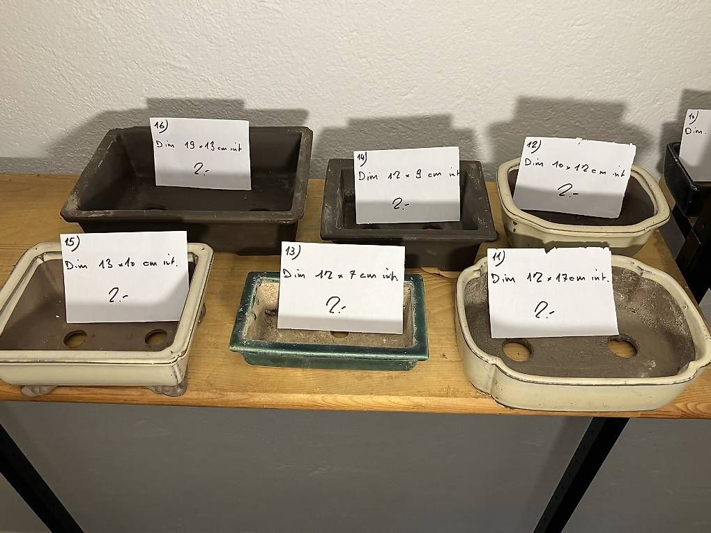 Pots de fleurs: Pots a bonsaï – D'occasion à Genève par Ymaca 1