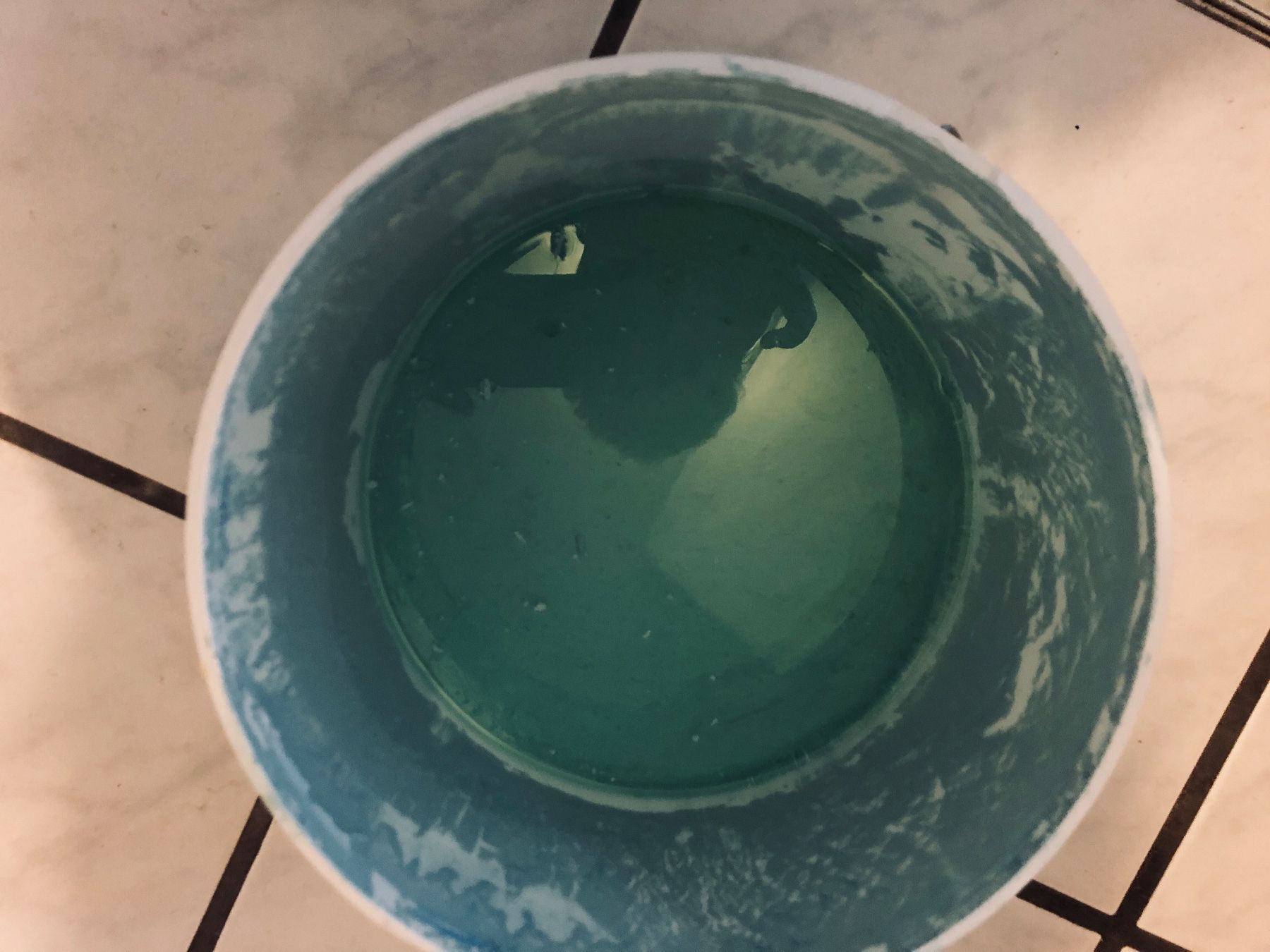 Colori: Relius Volldecker 4xff Innendispersionsfarbe, Grün – Usato da Arlesheim venduto da leyRum4.5
