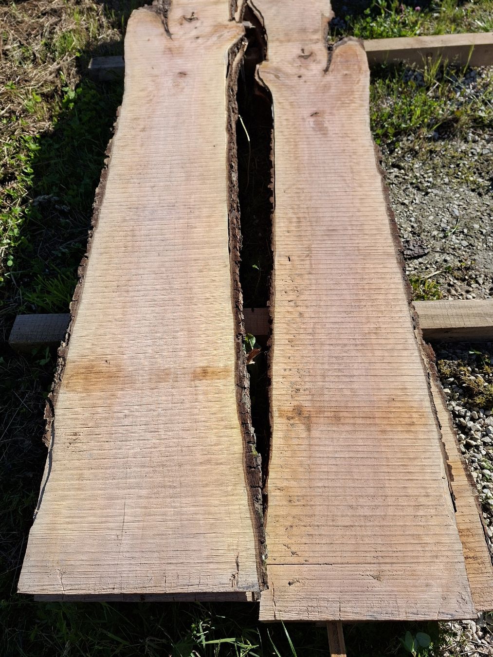 Articoli in legno: Birnenbaumbretter 45mm – Nuovo (secondo la descrizione) da Büren SO venduto da baschi87 3