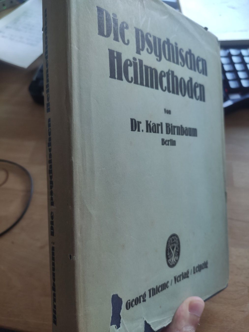 : Die psychischen Heilmethoden, Karl Birnbaum, 1927 – Usato da Zürich venduto da typish 1