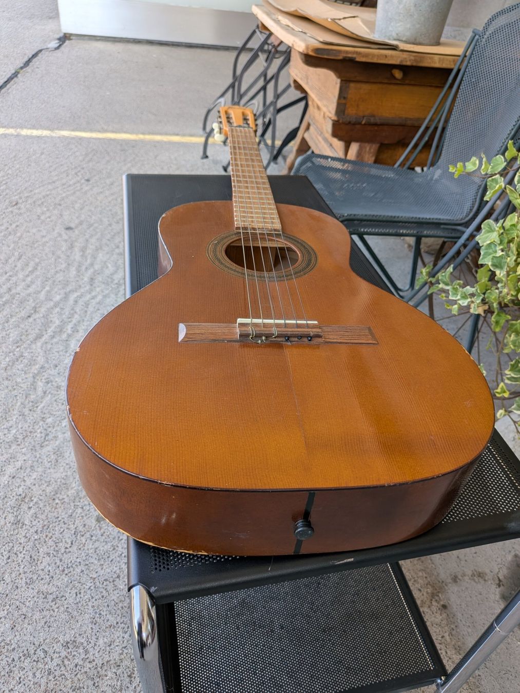 Framus Strumenti musicali: Gitarre Framus – Usato da Emmen venduto da Brockofsky 1