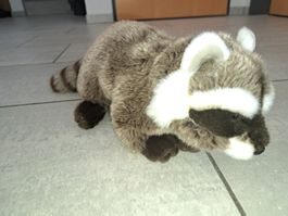 Plüschtier Roterpanda Neuwertig