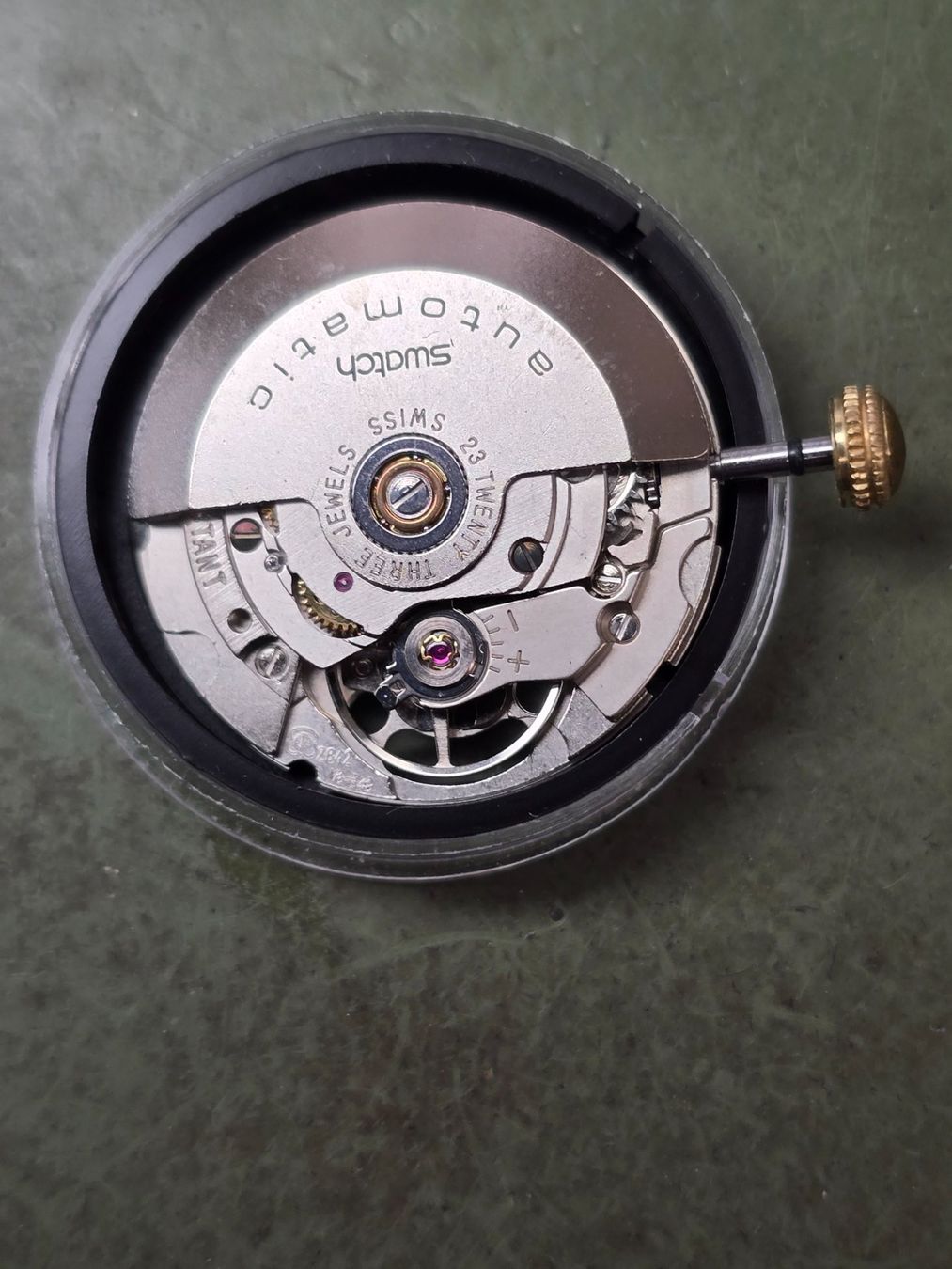 Eta Orologi: Mouvement ETA 2842 – Usato da Tramelan venduto da Nirdan 2
