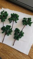 5 très jolis arbres foncés