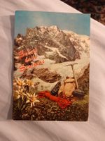 Carte Postale Vintage - Montagne, Edelweiss, Alpinisme