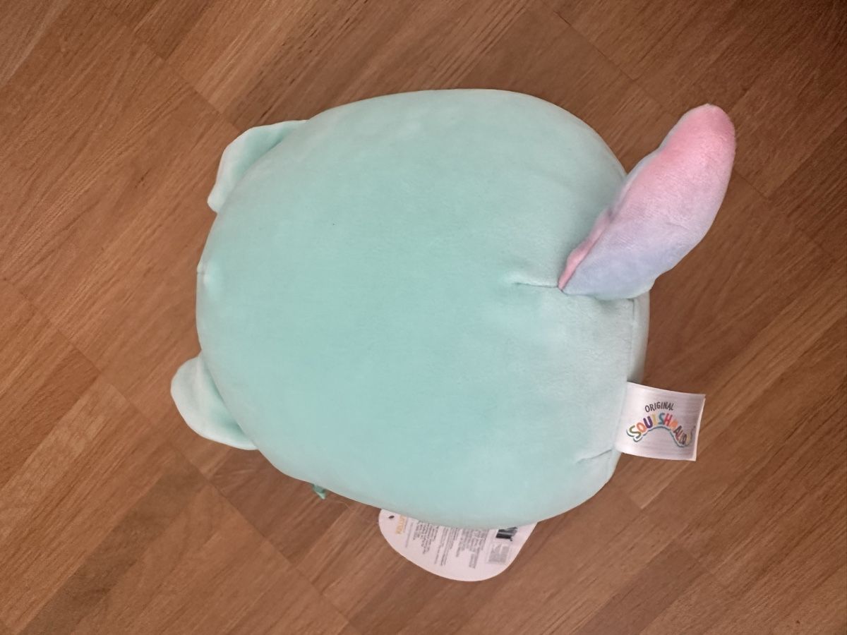 Squishmallows Spielzeuge: Squishmallow 2 Einhorn Katzen, beide neu  – Neu (gemäss Beschreibung) aus Hombrechtikon von SyrenaPears 2