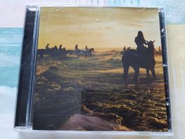 CD Foals - Holy Fire 