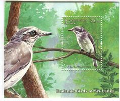 Block "Vögel". Sri Lanka.