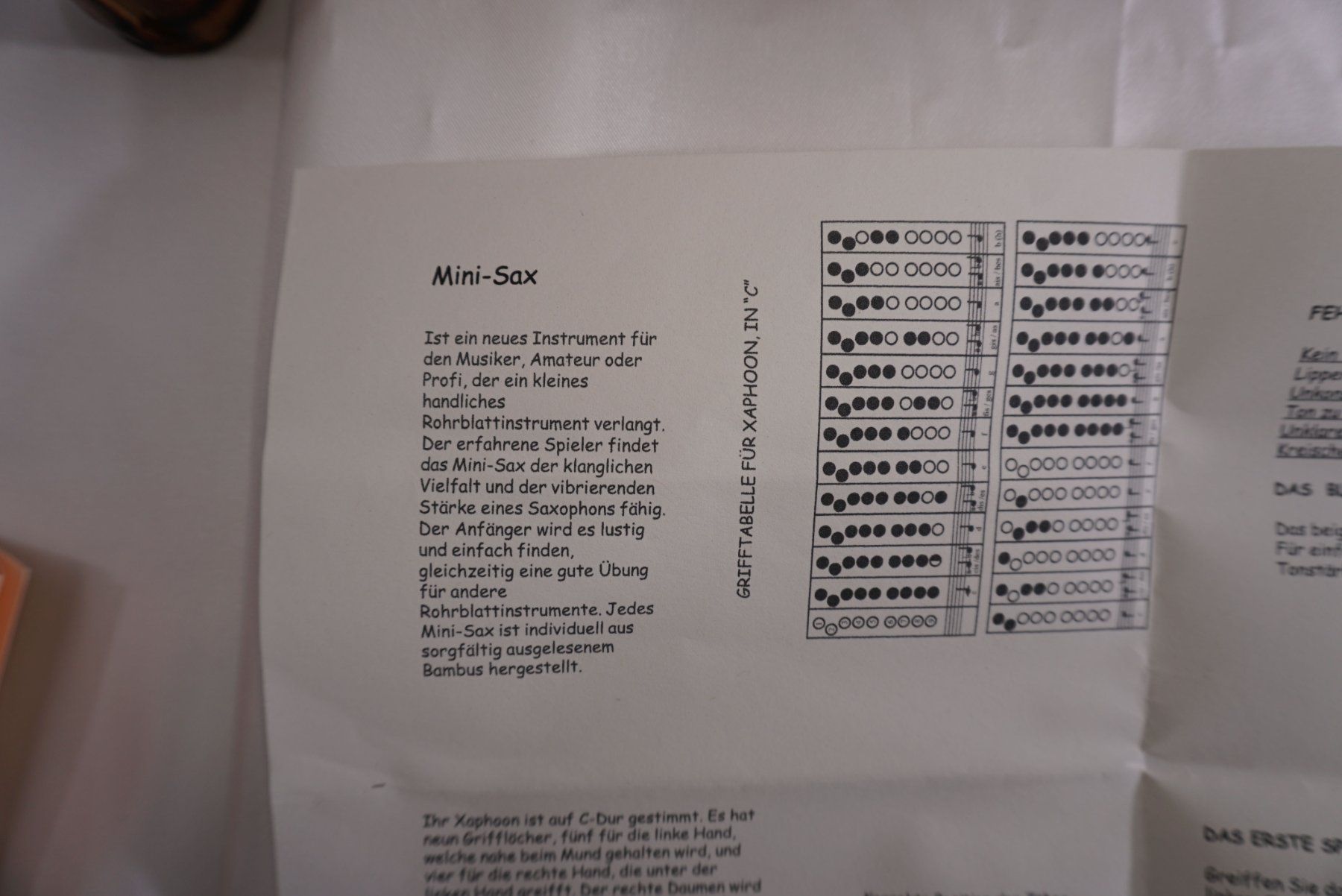 Strumenti musicali: Mini Saxophon aus Bambus – Nuovo (secondo la descrizione) da St. Gallen venduto da Acer0110 2