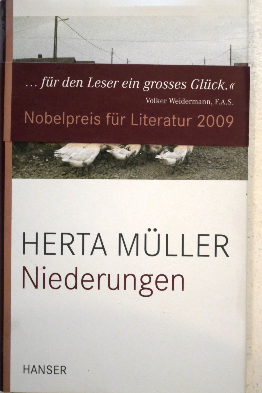 Libri: Herta Müller: Niederungen – Usato da Adliswil venduto da Dkain