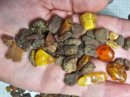 100Gr lot Rohbernstein aus Bitterfeld De Natur bernstein