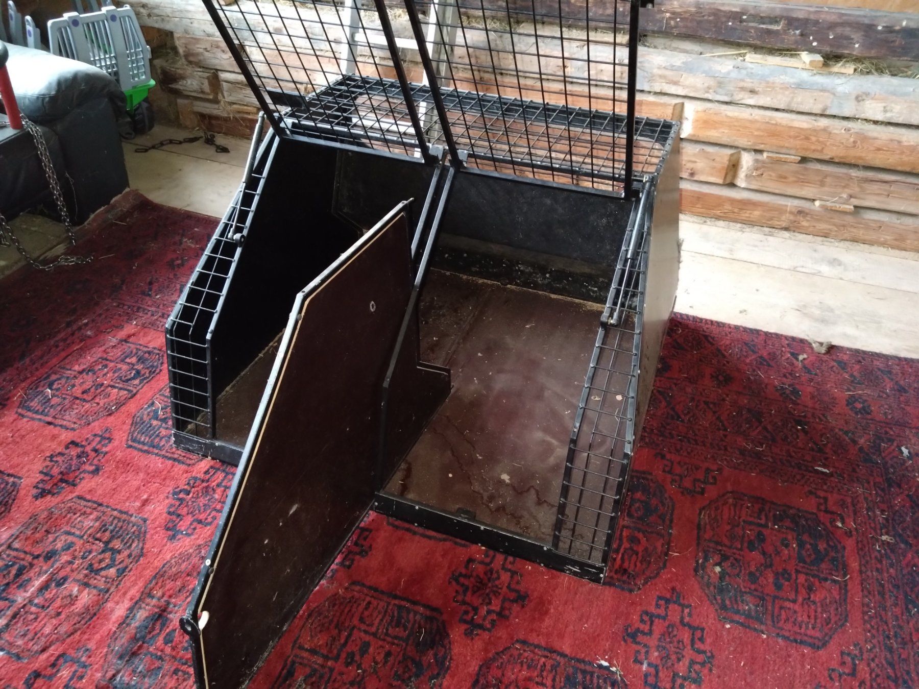 Gabbie, trasporto & Sicurezza: Hundebox für 1 oder 2 Hunde – Usato da Laupen ZH venduto da Venus09 2