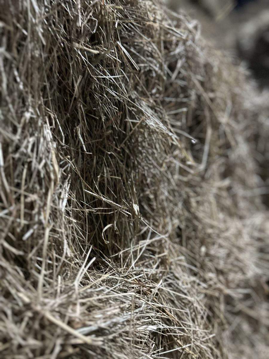 Mangimi: Ökoheu – Nuovo e nell'imballaggio originale da Uhwiesen venduto da pas_r72r 3