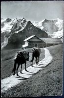GRINDELWALD Maultierpost Station First-Faulhorn