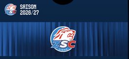Stehplatz Ticket Heim ZSC - Fribourg