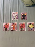 Panini extra Stickers 