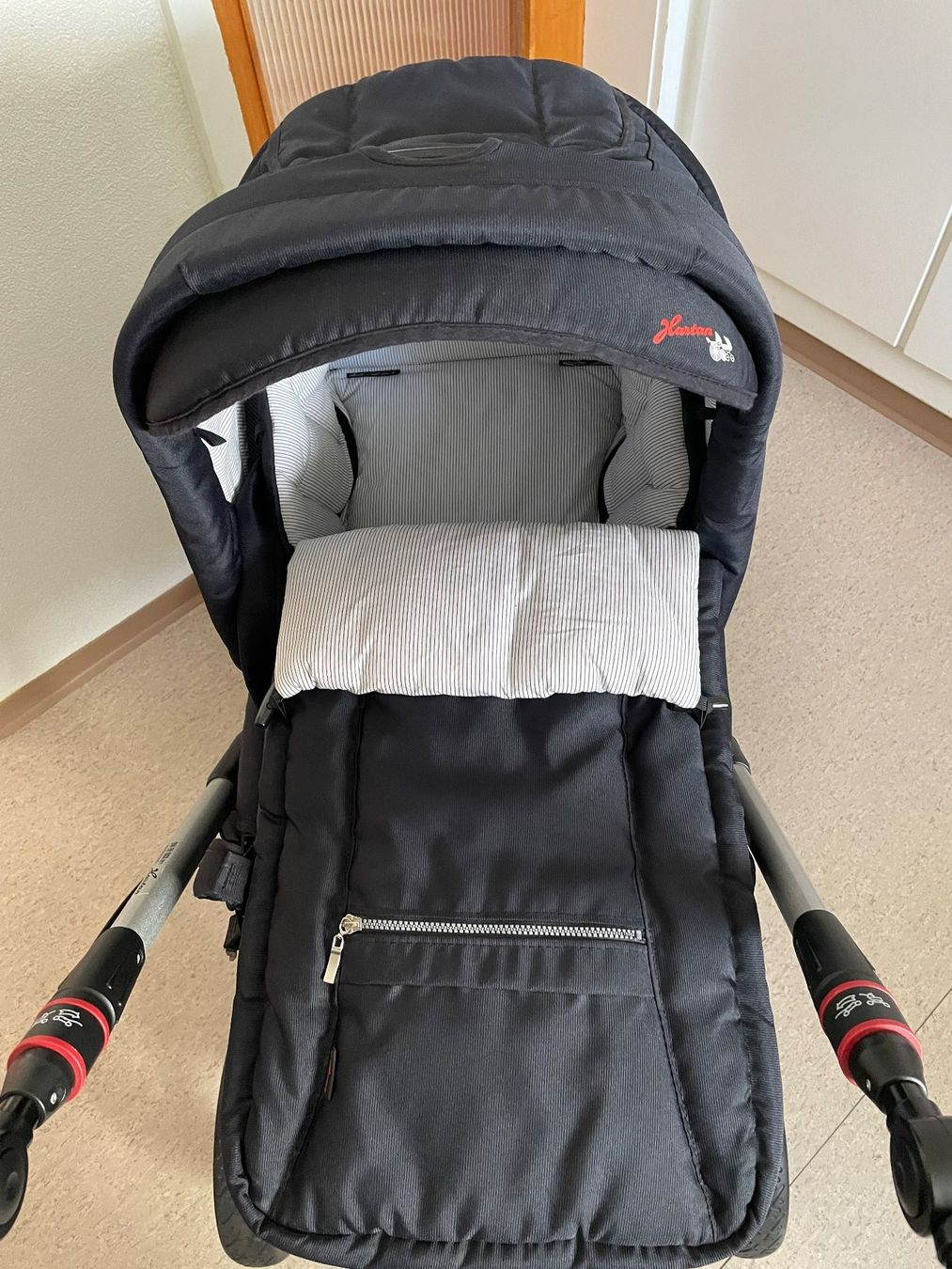 Hartan Carrozzine: Kombikinderwager Hartan Racer GT – Usato da Wettingen venduto da lili_66 3