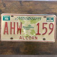 🇺🇸 1979 Vintage U.S. Autoschild - Mississippi AHW 159