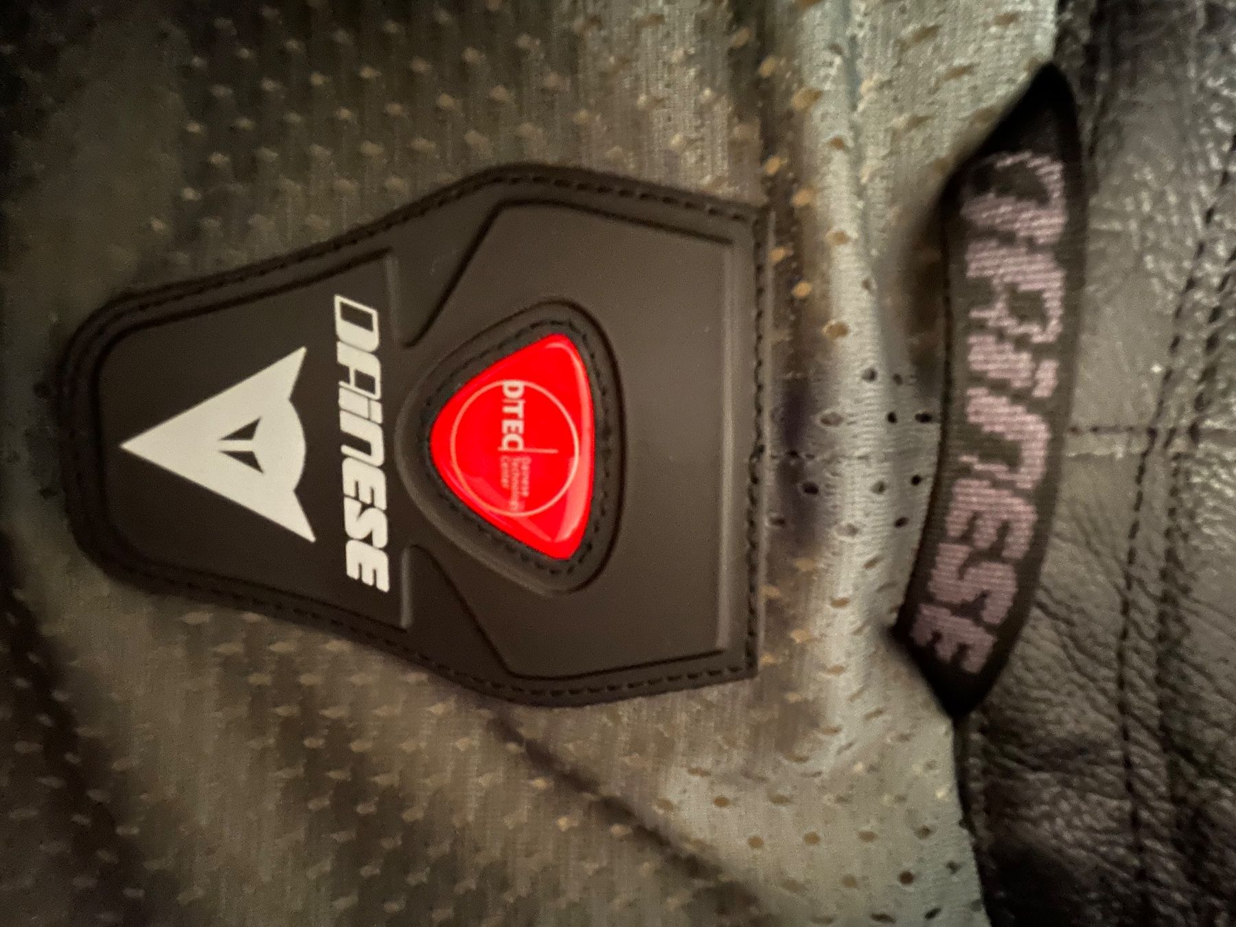 Completi, tute sportive e funzionali: Dainese Lederkombi Gr 46 – Usato da Affoltern am Albis venduto da Swissdevil78