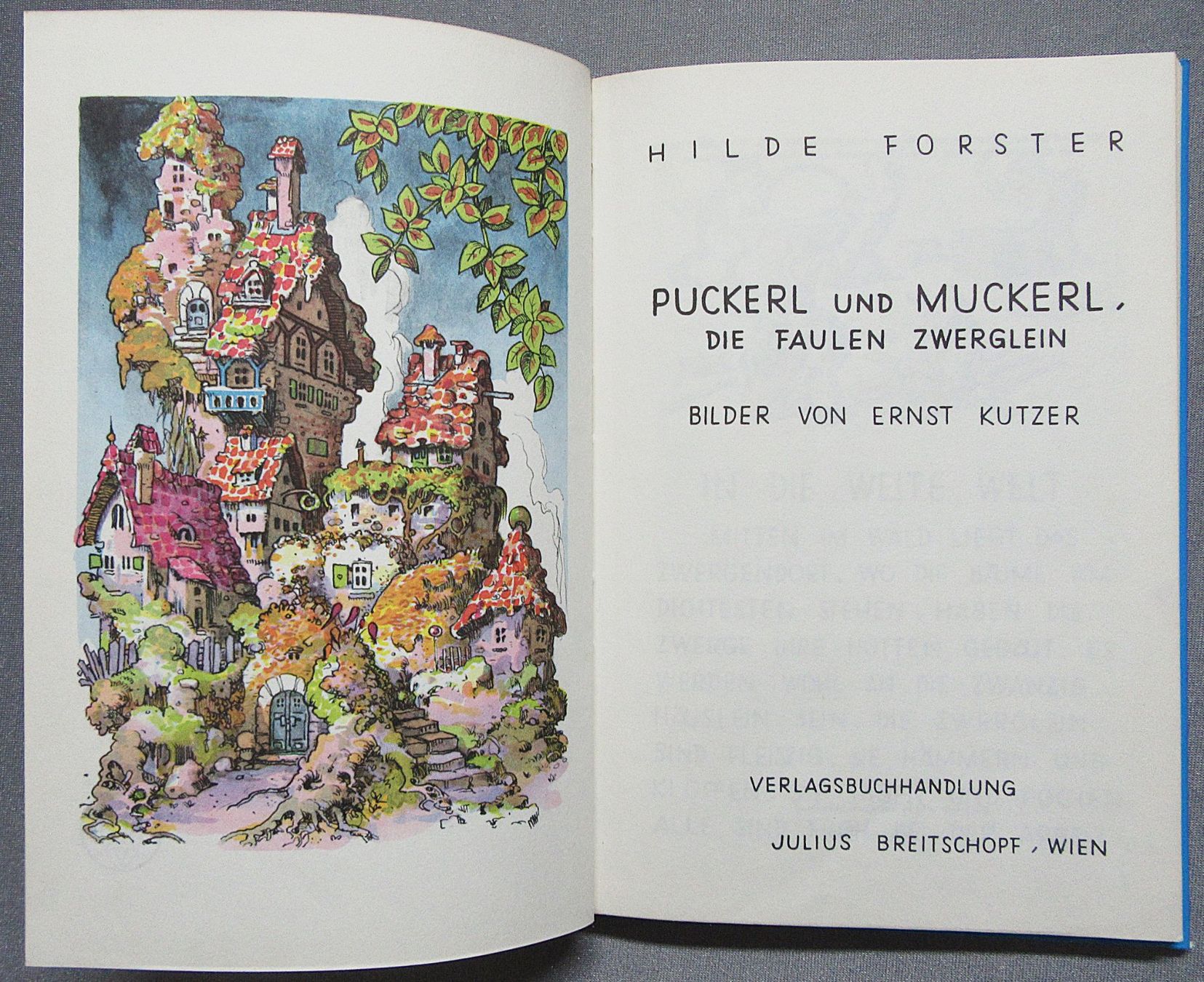 Libri: Puckerl und Muckerl - mit Bildern von Ernst Kutzer – Usato da Auenstein venduto da Padabimbim 1