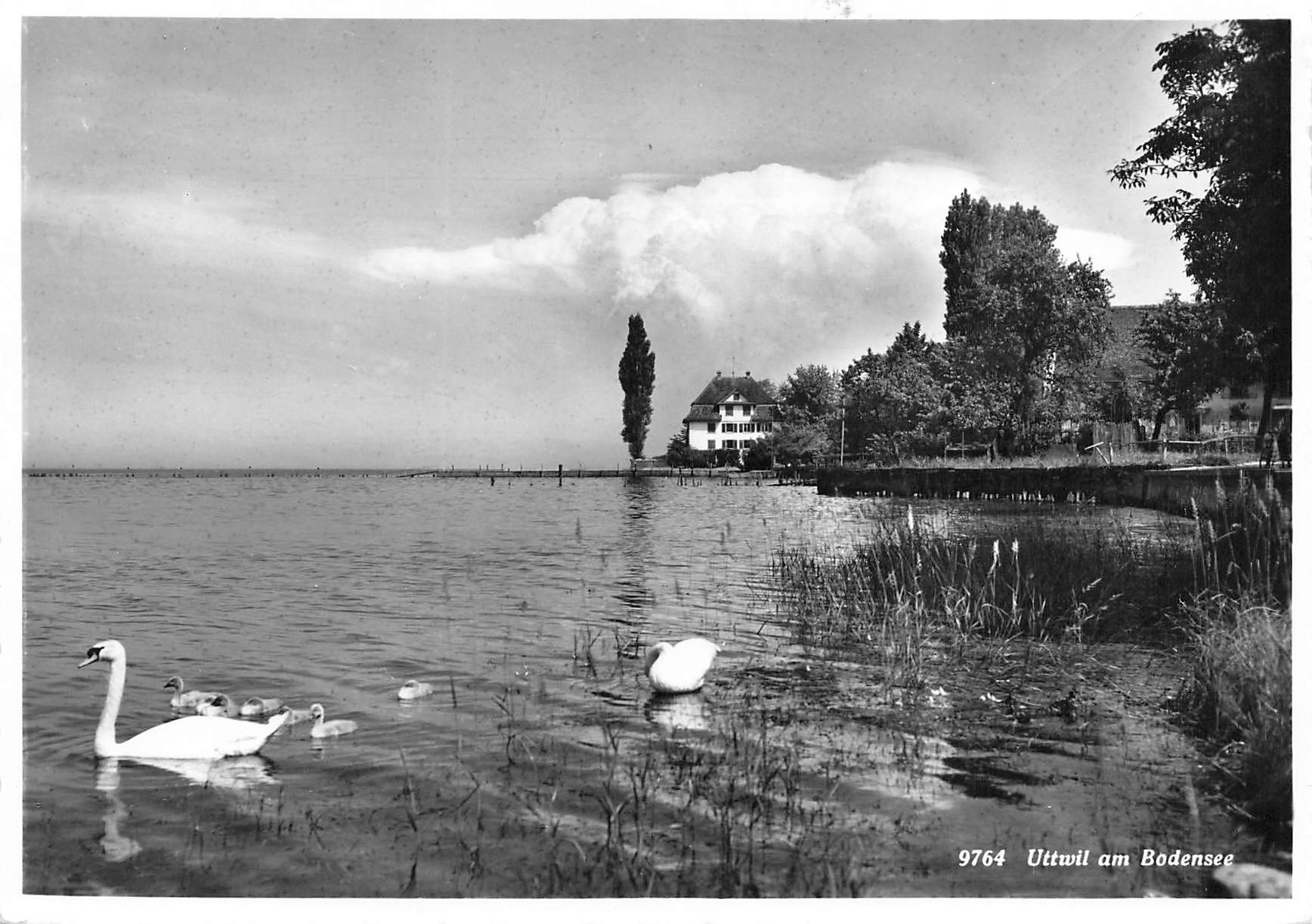 Ansichtskarten: Uttwil am Bodensee G – Gebraucht aus Biasca von Blenio71