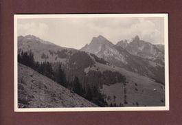 Foto - GRIMMIALP - 1934