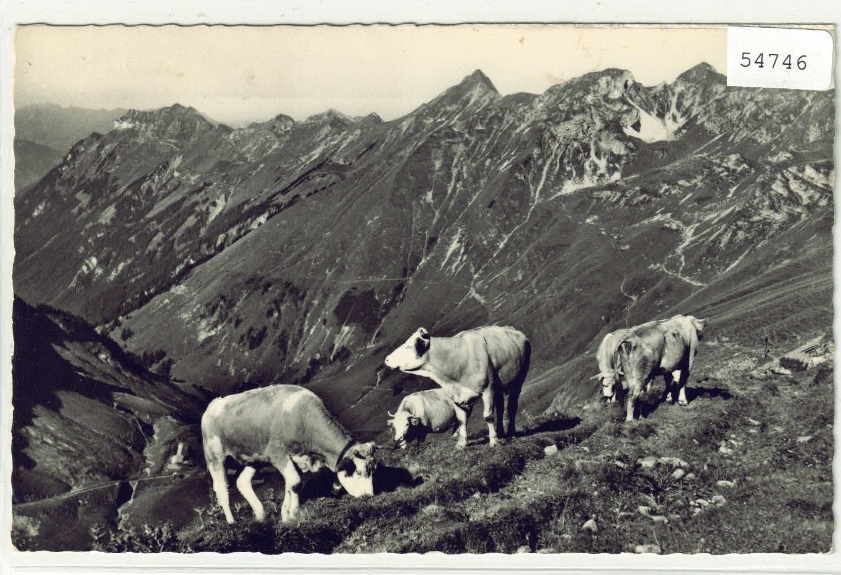 Cartes postales: Brienzer Rothorn - Rinder-Herde – D'occasion à Ettingen par Kartenplanet
