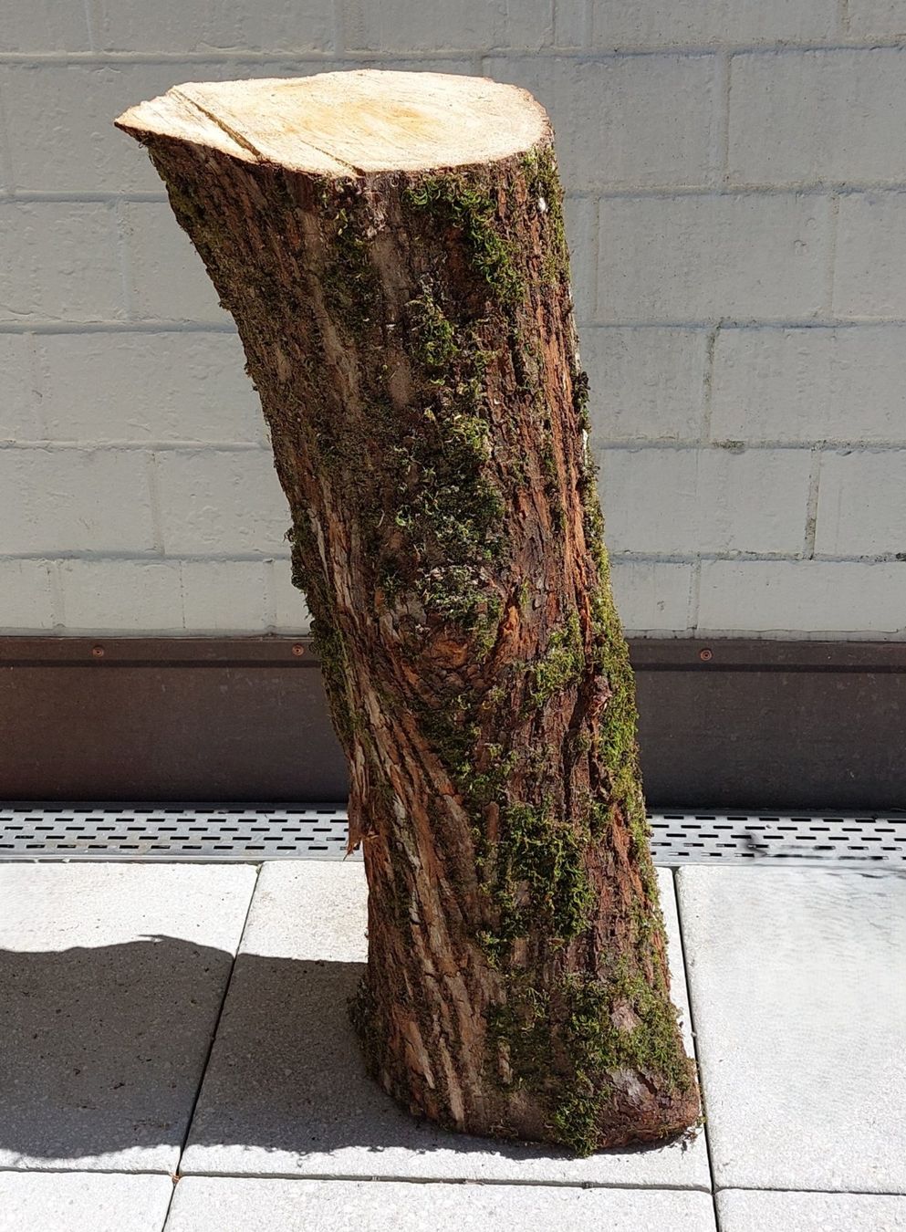 Holzartikel: Holzstamm / Chemine, Deko, Hackstock, Rundholz, Scheitstock – Neu (gemäss Beschreibung) aus Bergdietikon von lop01 2