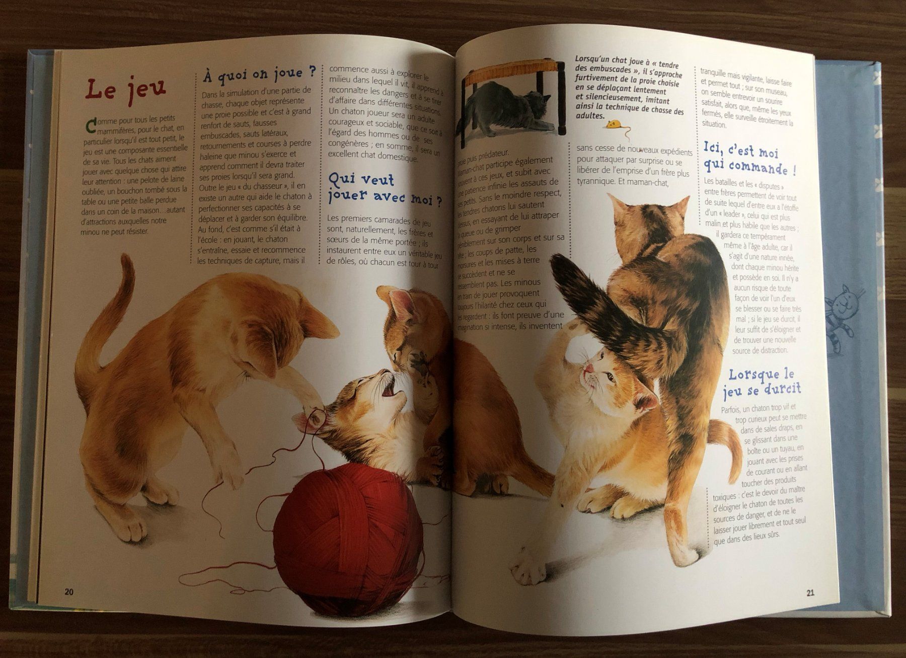 Libri: Chats, Chiens - Guide pour les connaître – Usato da Fribourg venduto da Alexia90 2