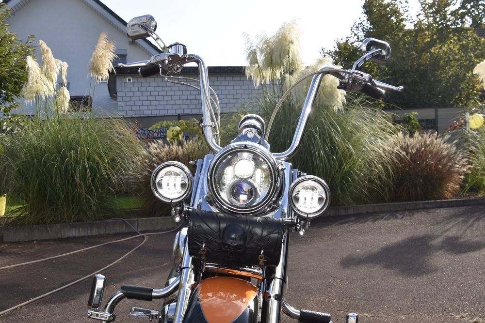 Harley-Davidson Touring: Harley-Davidson Softail Fatboy FLSTF, Typ X, MFK 04.09.2024 – Usato da Kriegstetten venduto da Tamandua 5