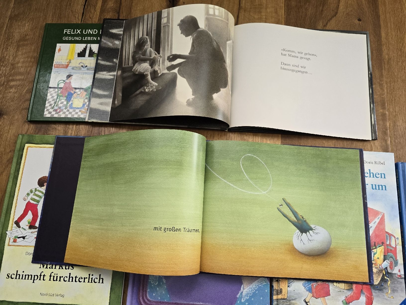 Libri: bücher set – Usato da Wittenbach venduto da Tigerlili 1