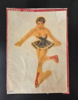 Sticker Aufkleber Pin Up Autocollants