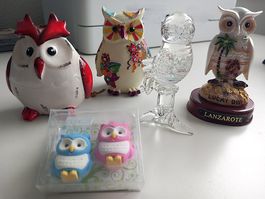 4 und 2 verschiedene Eulen