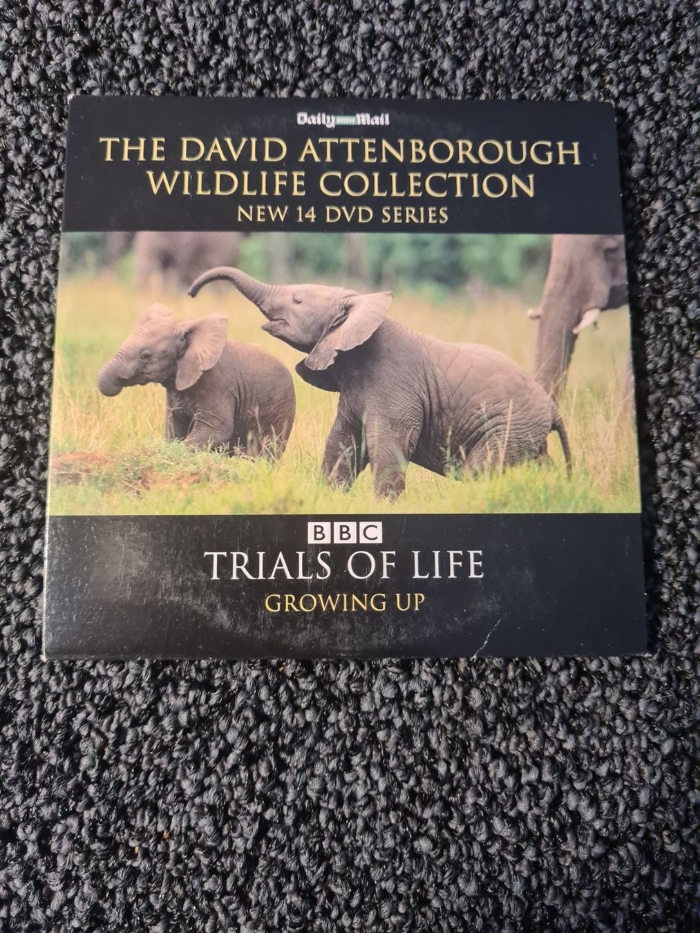Tutti i DVDs: TRIALS OF LIFE – Usato da Ruswil venduto da jan_bxl5