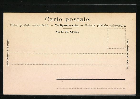 Cartoline postali: Campfer, Panorama und Piz della margna – Usato da Berlin venduto da bartko-reher 1