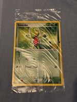 Pokemon 25th celebrations series Treecko jumbo XXL