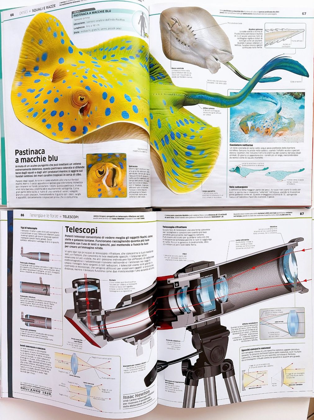 Bücher: La grande enciclopedia degli Animali Scienza Gribaudo – Gebraucht aus Vacallo von olg_7nvc 4