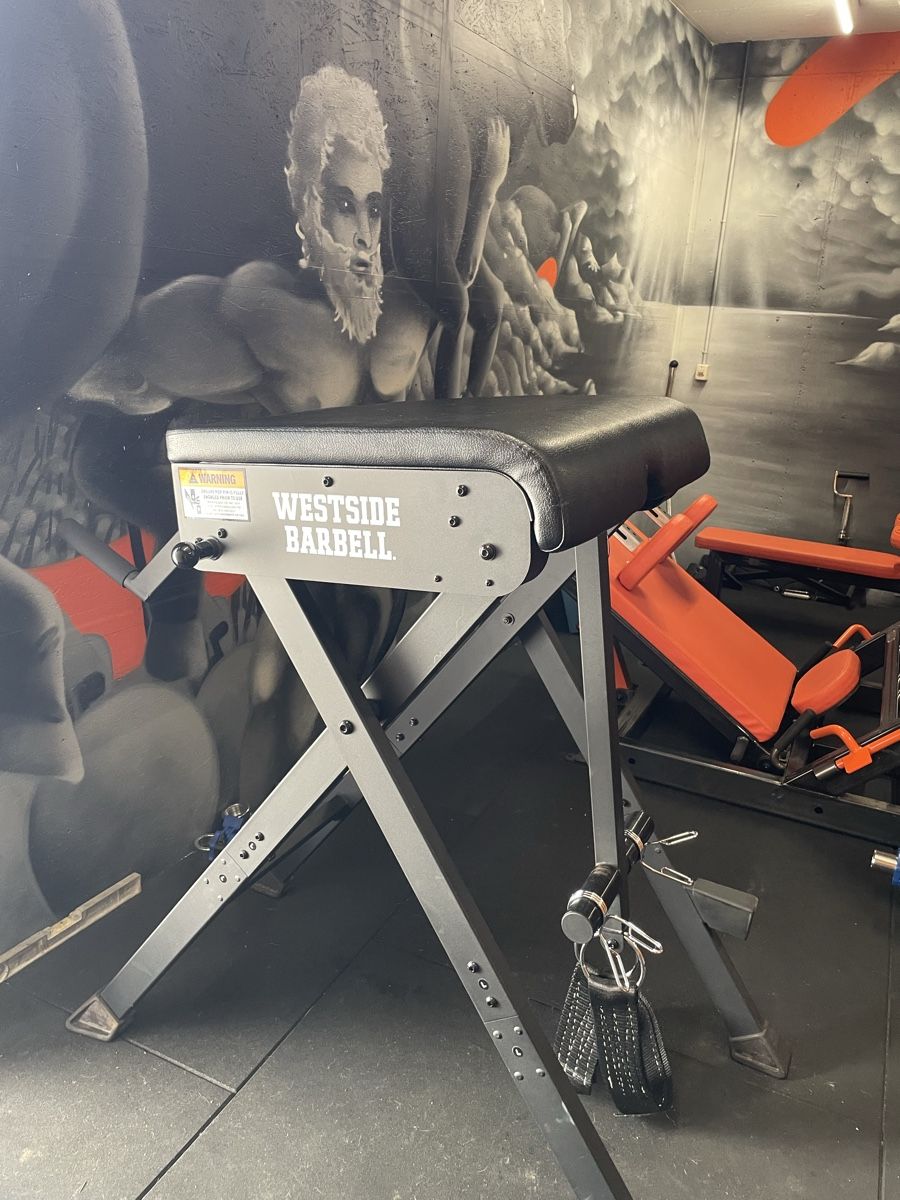 Hometrainer: Westside Barbell Reverse Hyper – Usato da Dällikon venduto da balu814 5